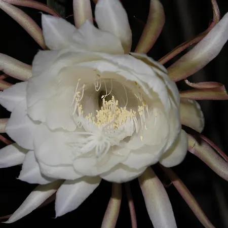 Bed & Breakfast Sous Le Murier 3*