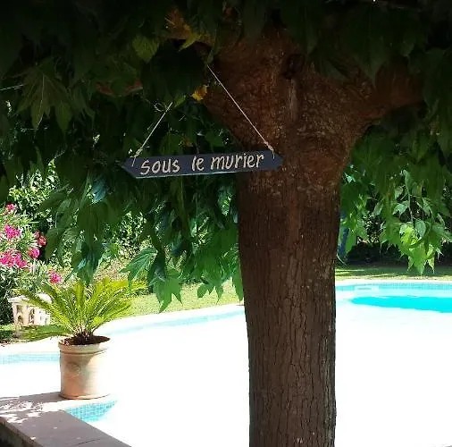 Sous Le Murier 3*