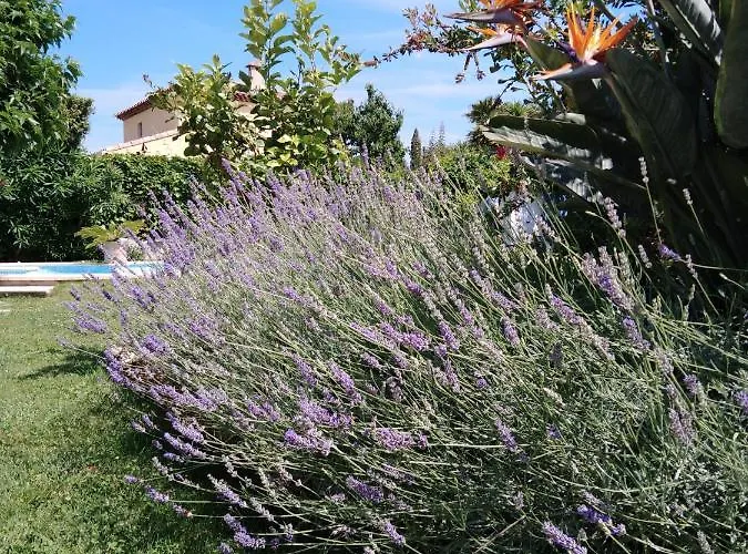 Bed and Breakfast Sous Le Murier 3*