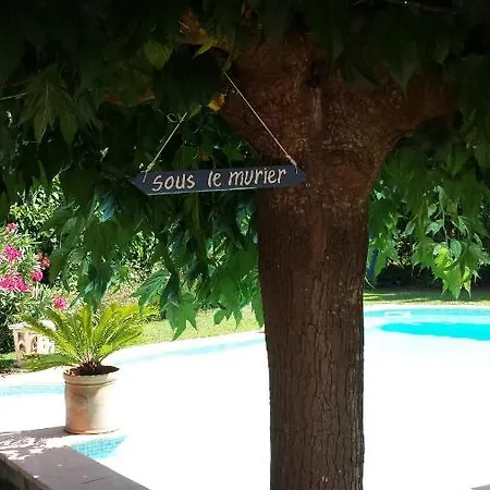 Sous Le Murier 4*