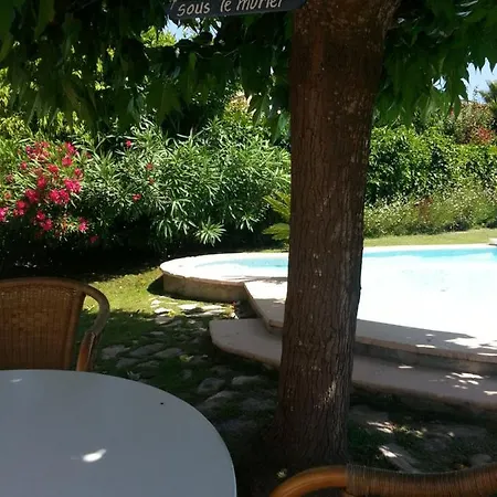 Sous Le Murier Six-Fours-les-Plages