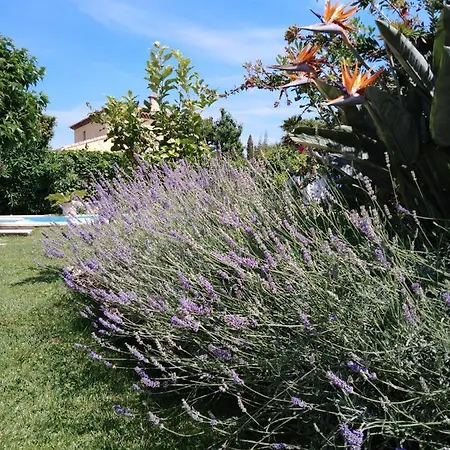 Bed & Breakfast Sous Le Murier 4*