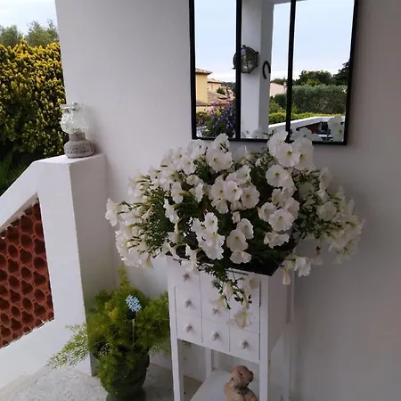 Bed & Breakfast Sous Le Murier Six-Fours-les-Plages