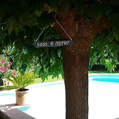 Bed & Breakfast Sous Le Murier Six-Fours-les-Plages
