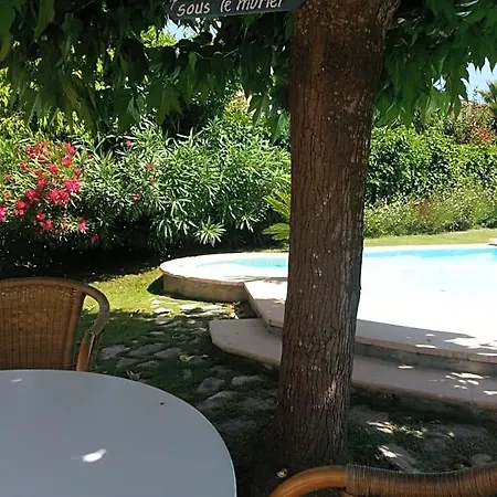Bed & Breakfast Sous Le Murier 4*