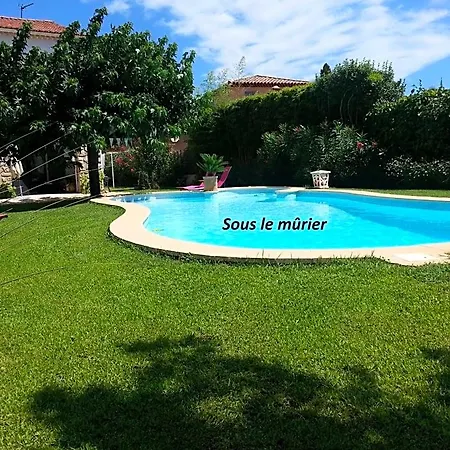 Bed & Breakfast Sous Le Murier 4*