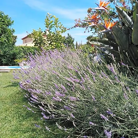 Sous Le Murier 4* Six-Fours-les-Plages