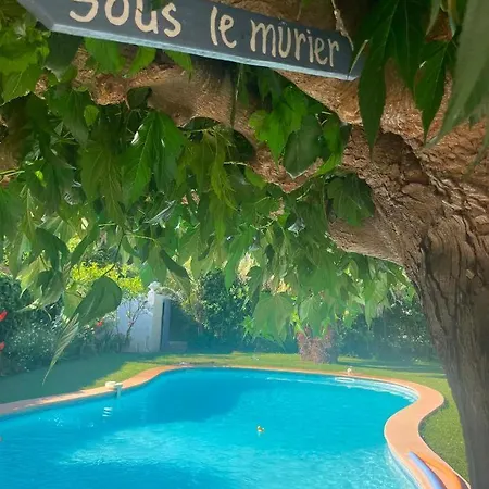 Sous Le Murier 4*