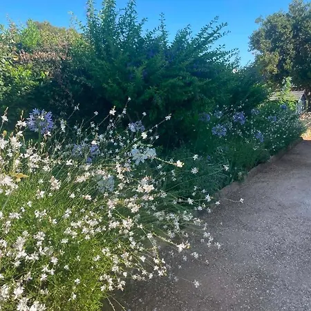 Bed & Breakfast Sous Le Murier Six-Fours-les-Plages
